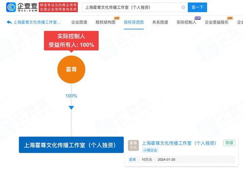 霍尊南京江豚音樂節(jié)復出 前女友辟謠、爭議解讀與公關策略分析